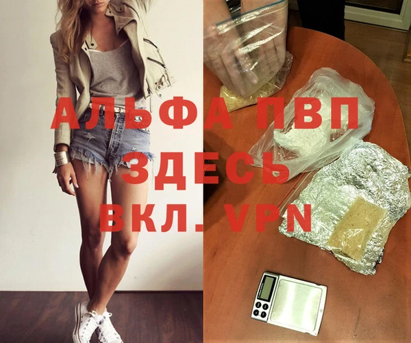 ешки Новодвинск