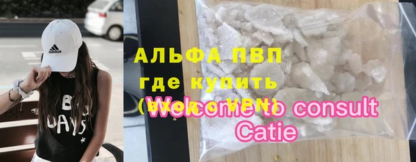 ешки Новодвинск