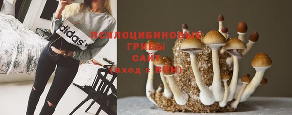 ешки Новодвинск
