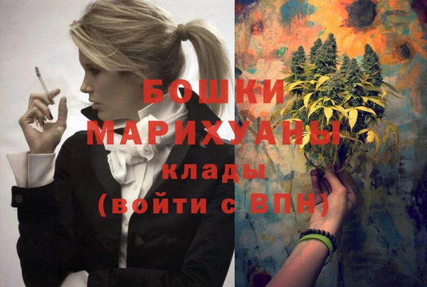 ешки Новодвинск