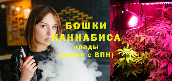 ешки Новодвинск