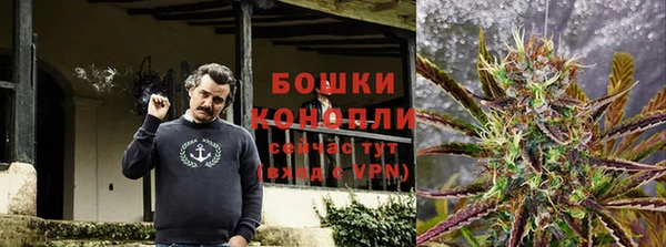 сатива Всеволожск